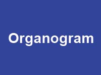 Organogram